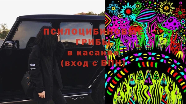 дживик Беломорск