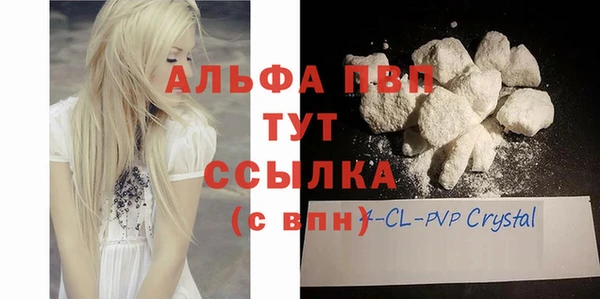 прущие грибы Белокуриха