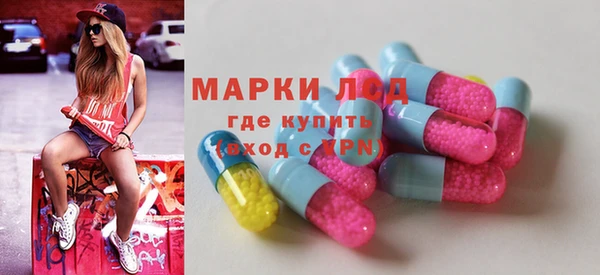 прущие грибы Белокуриха