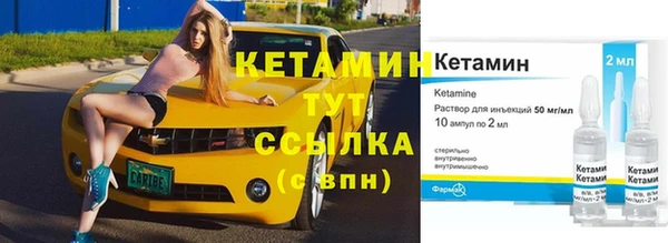 прущие грибы Белокуриха