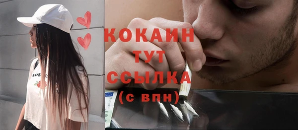 прущие грибы Белокуриха