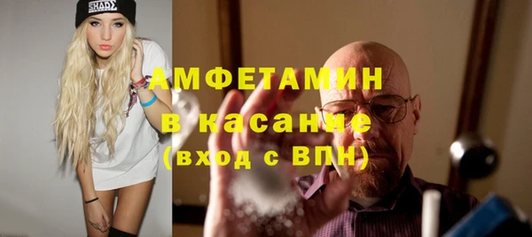 прущие грибы Белокуриха