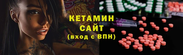 прущие грибы Белокуриха