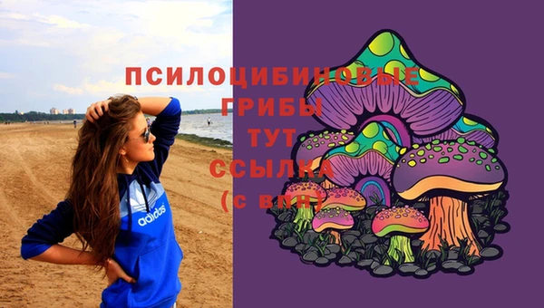 дживик Беломорск