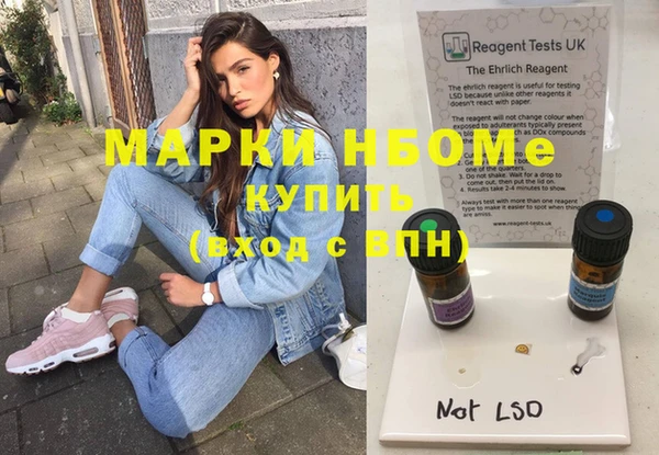 прущие грибы Белокуриха