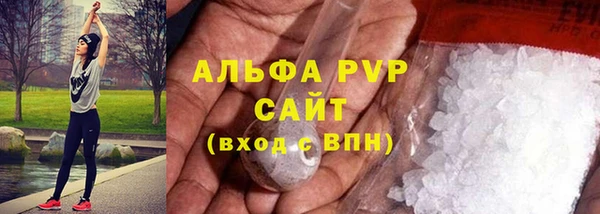 прущие грибы Белокуриха