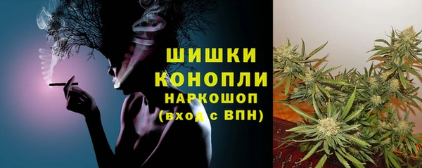 прущие грибы Белокуриха